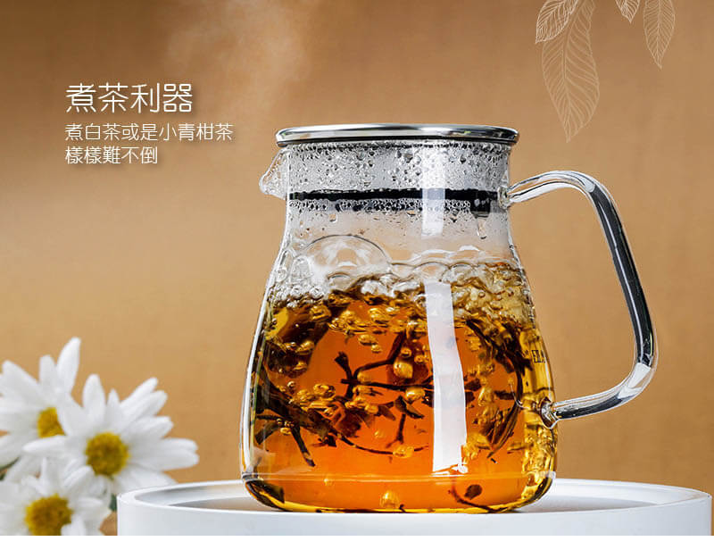 茶專家易泡壺-(500ml)